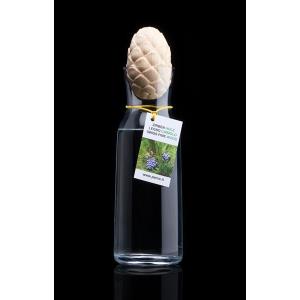 Swiss pine cone with carafe